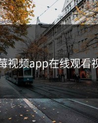 草莓视频app在线观看视频