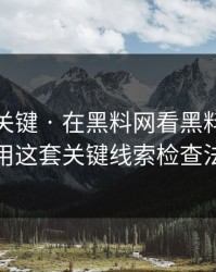 小众却关键 · 在黑料网看黑料前 · 先用这套关键线索检查法