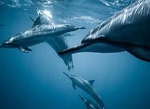 这回真的藏不住了：那次“无意”提起背后的真相，终于有人讲清楚了