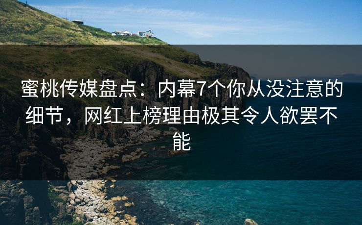 蜜桃传媒盘点：内幕7个你从没注意的细节，网红上榜理由极其令人欲罢不能