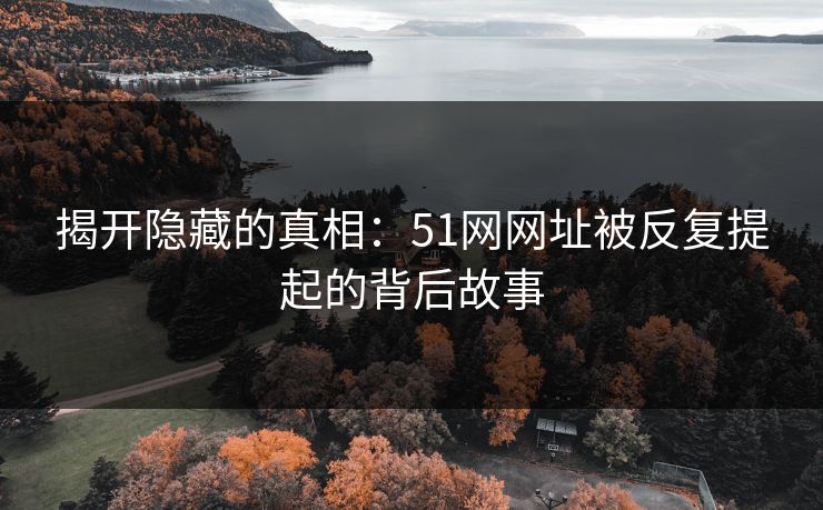 揭开隐藏的真相：51网网址被反复提起的背后故事