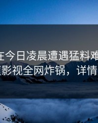 圈内人在今日凌晨遭遇猛料难以抗拒，香蕉影视全网炸锅，详情了解