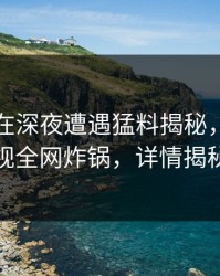 圈内人在深夜遭遇猛料揭秘，香蕉影视全网炸锅，详情揭秘