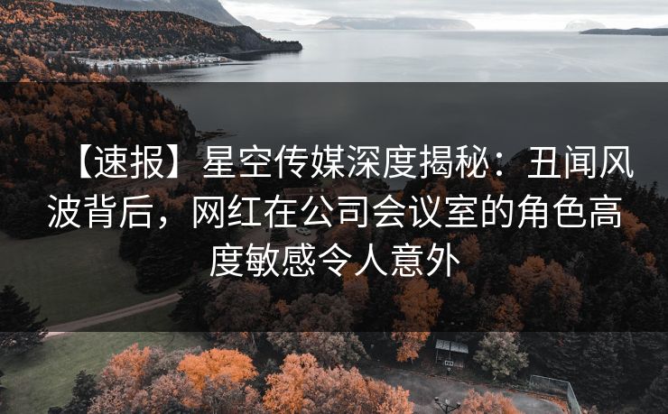 【速报】星空传媒深度揭秘：丑闻风波背后，网红在公司会议室的角色高度敏感令人意外